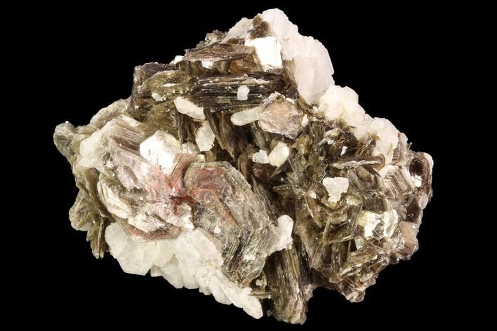 Muscovite & White Albite Crystal Association - Brazil #95568